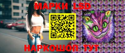 мдпв Кандалакша