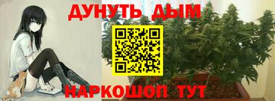 твердый Камышлов
