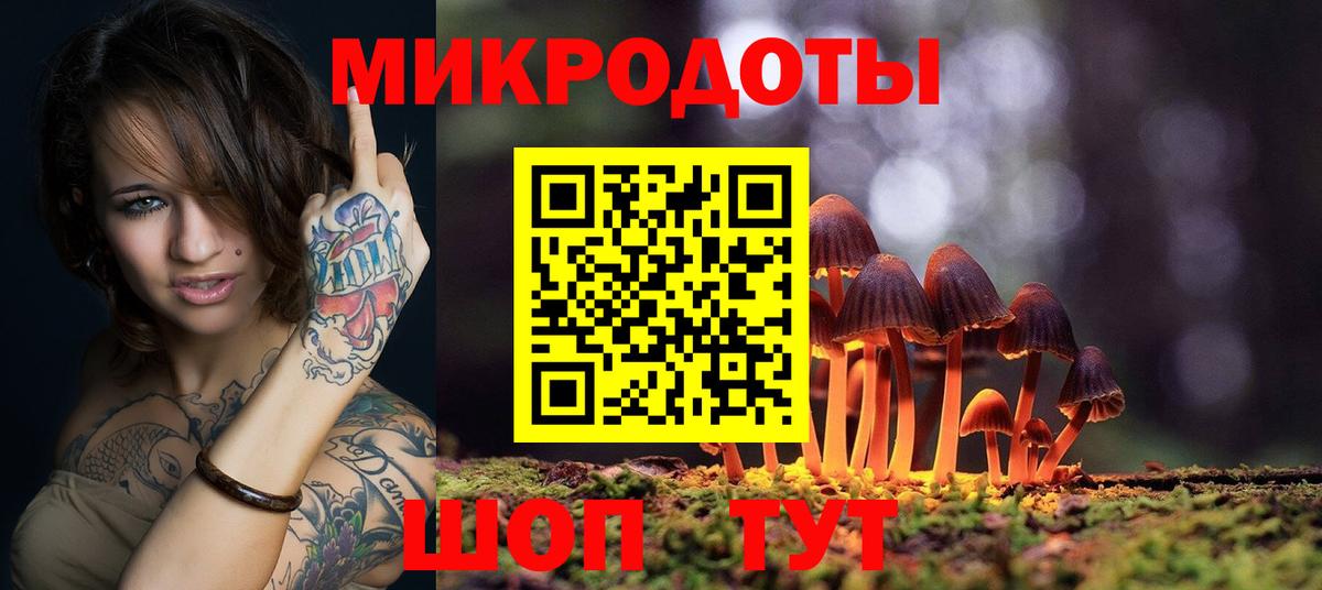 Псилоцибиновые грибы MAGIC MUSHROOMS  Вход с VPN  Лесной 