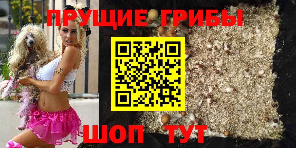 Галлюциногенные грибы мицелий Лесной